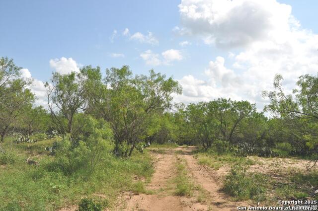Tbd Cr 662 Property Photo 6