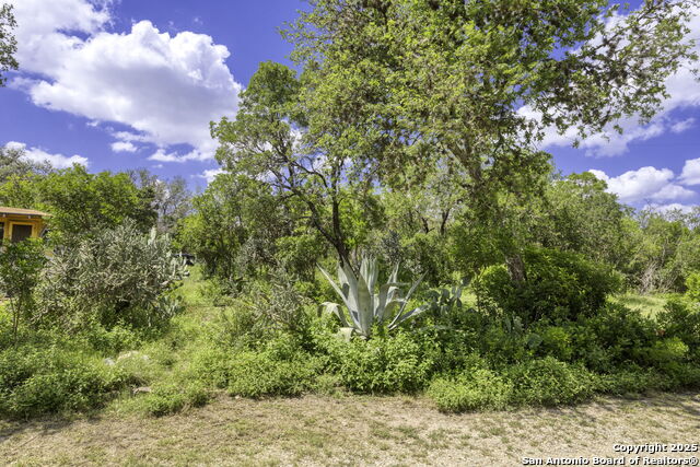 2422 Hillcrest Dr Property Photo 39