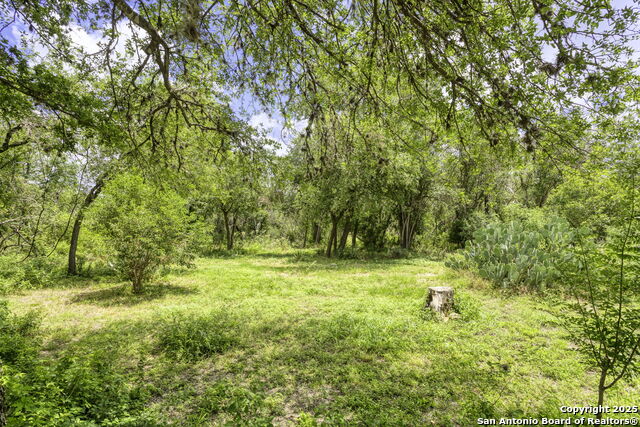 2422 Hillcrest Dr Property Photo 41