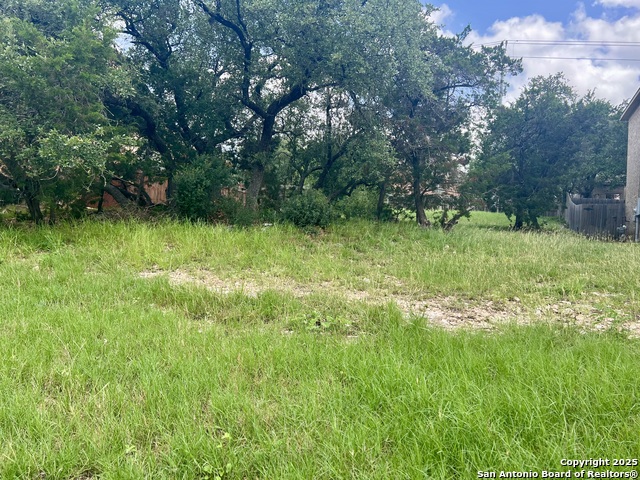 24002 Viento Oaks Property Photo 4