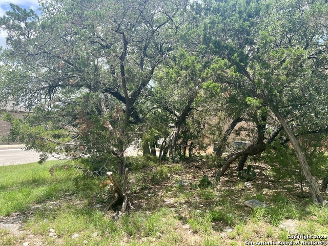 24002 Viento Oaks Property Photo 7