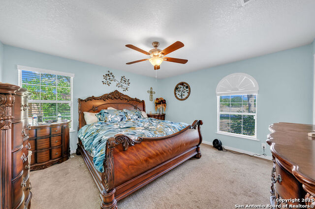 250 Kimball Property Photo 16