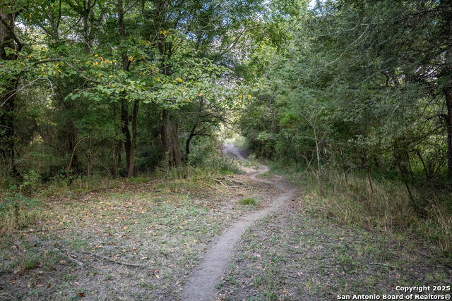 000 Fm 766 Property Photo 32