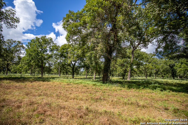 000 Fm 766 Property Photo 34