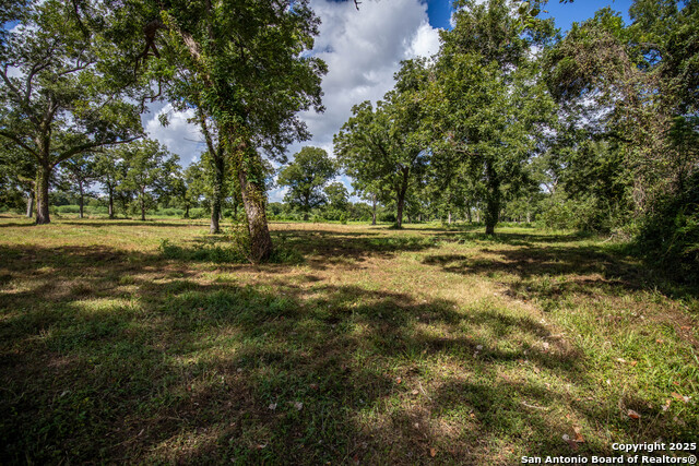 000 Fm 766 Property Photo 38