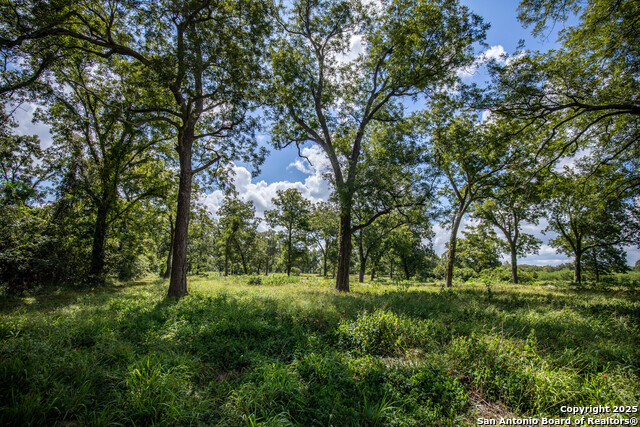 000 Fm 766 Property Photo 39