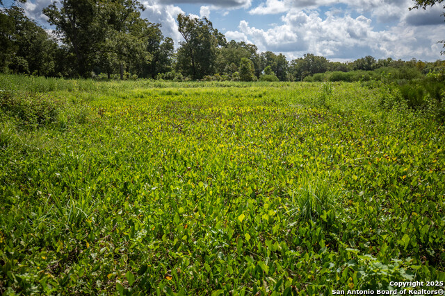 000 Fm 766 Property Photo 40