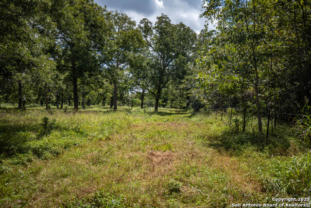 000 Fm 766 Property Photo 41