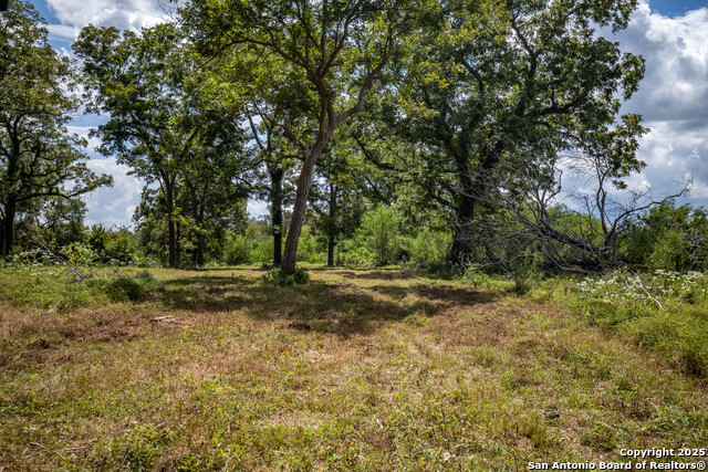 000 Fm 766 Property Photo 45