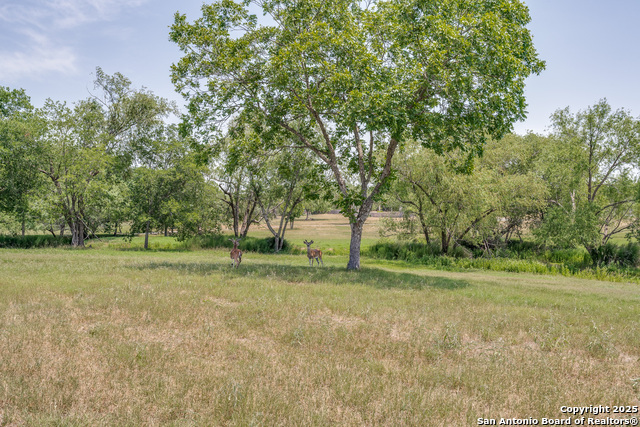 10745 Rosemar Ln Property Photo 36