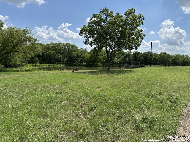 10745 Rosemar Ln Property Photo 36