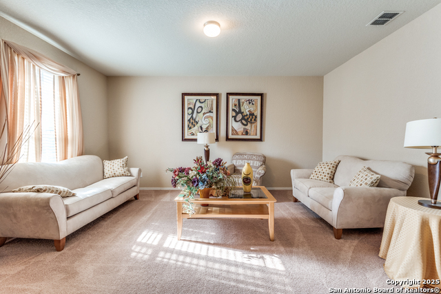15923 Silver Rose Property Photo 2