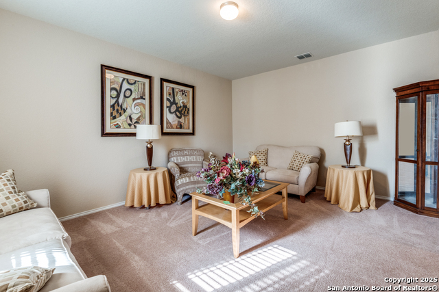 15923 Silver Rose Property Photo 3