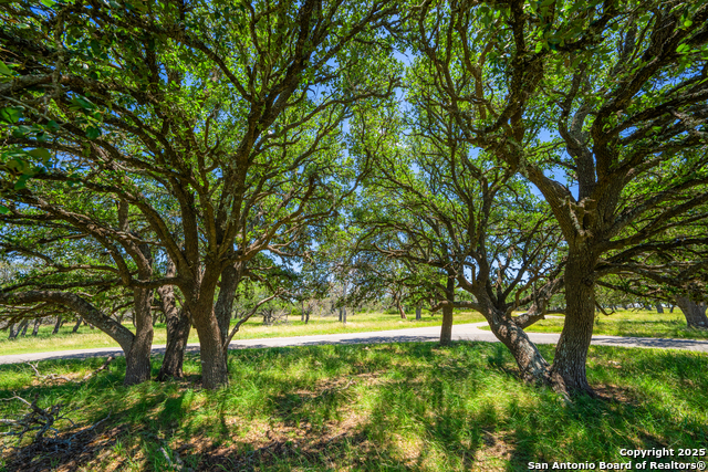 00 N Spanish Oak Trl Property Photo 1