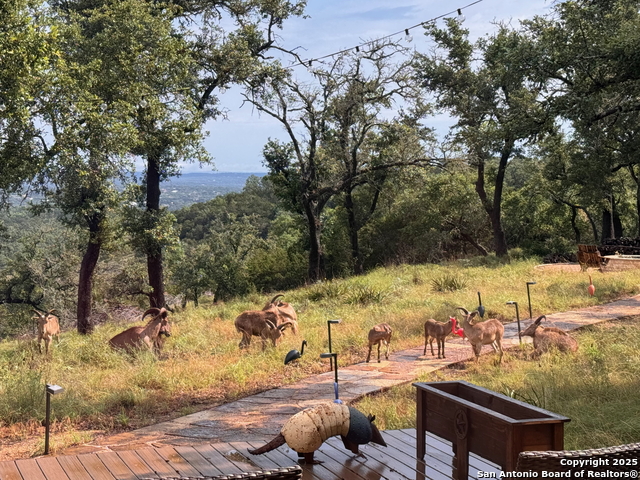 118 Sheridan Property Photo 44