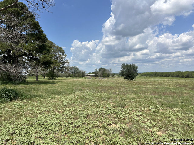 1626 Fm 1346 Property Photo 20