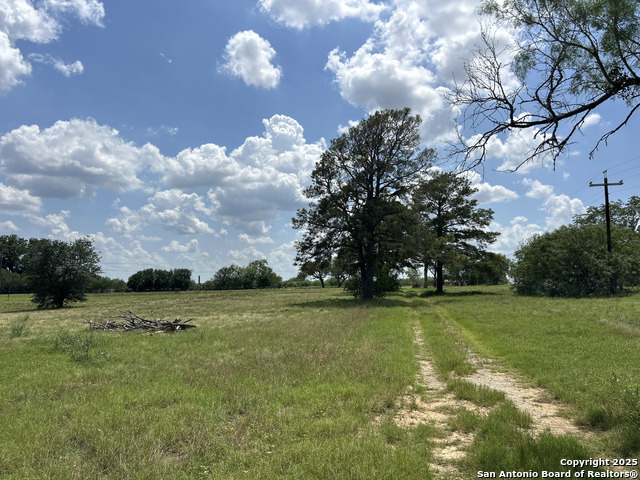 1626 Fm 1346 Property Photo 21