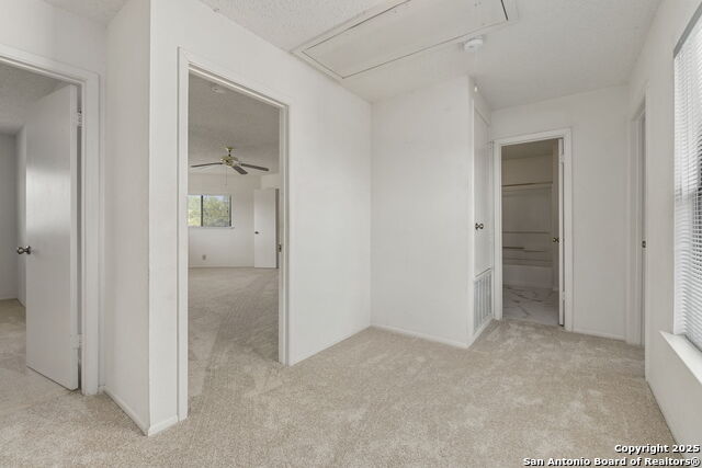 11306 Gunlock Trl Property Photo 15