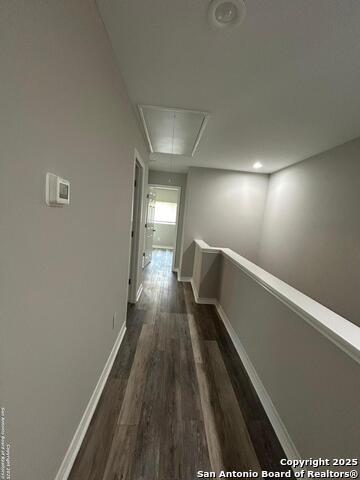16918 Dancing Ava Property Photo 10