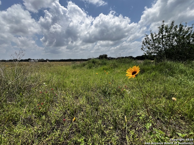Tbd, Lot 5 Sanctuary Ln Property Photo 1
