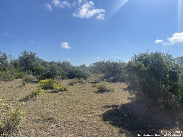 3626 Old Goliad Rd Property Photo 1