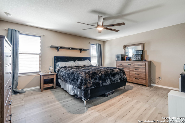 9938 Balboa Island Property Photo 18