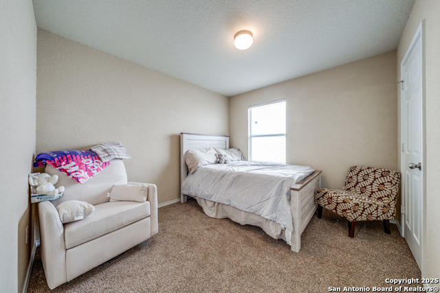 11731 Silver Horse Property Photo 8