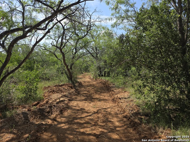 385 Marrou Rd. Property Photo 2