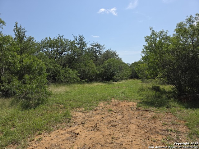 385 Marrou Rd. Property Photo 3