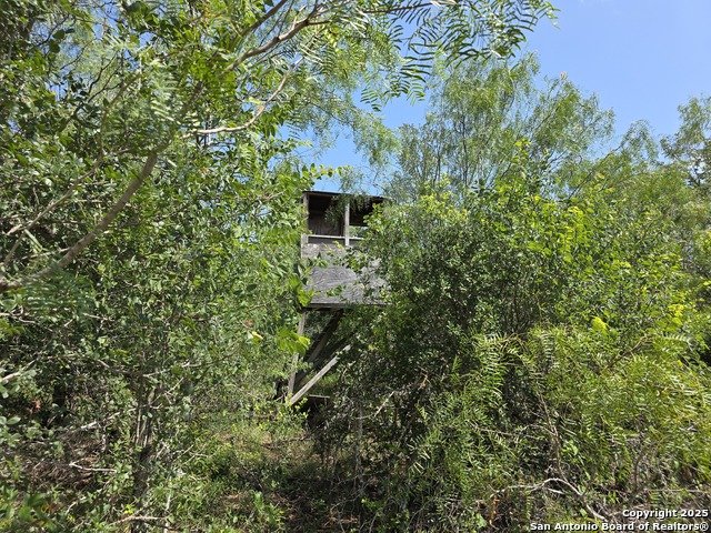 385 Marrou Rd. Property Photo 4
