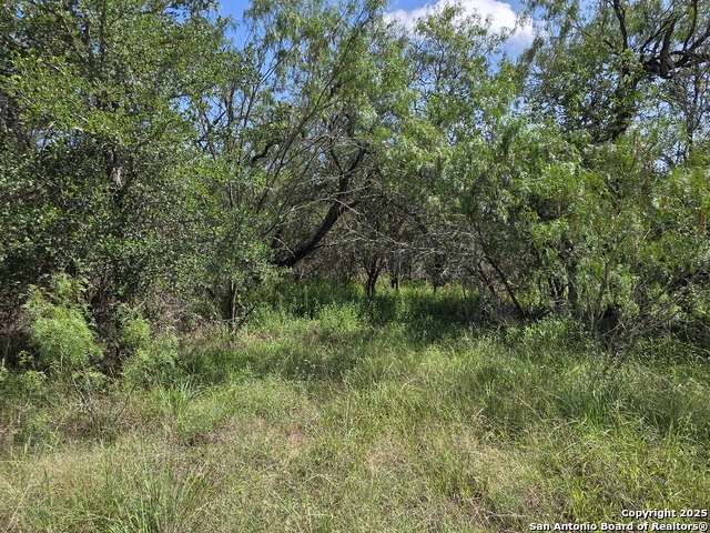 385 Marrou Rd. Property Photo 5