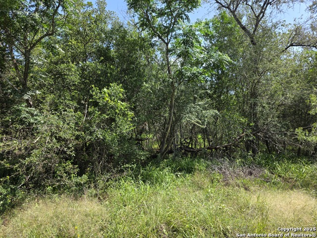 385 Marrou Rd. Property Photo 6