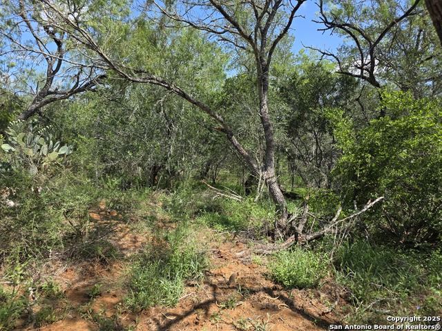 385 Marrou Rd. Property Photo 7