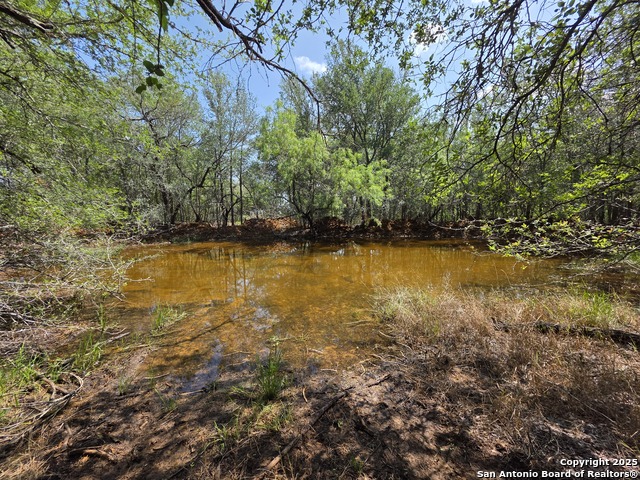 385 Marrou Rd. Property Photo 8