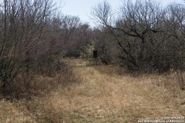 385 Marrou Rd. Property Photo 9