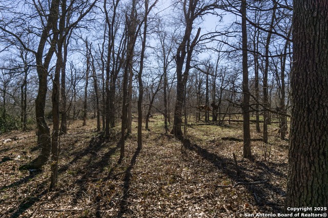 385 Marrou Rd. Property Photo 12
