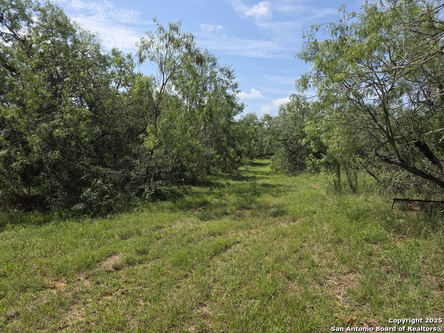 445 Marrou Rd. Property Photo 3
