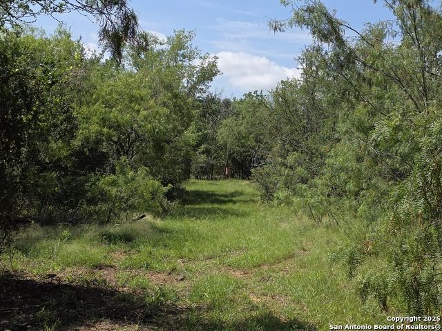 445 Marrou Rd. Property Photo 4