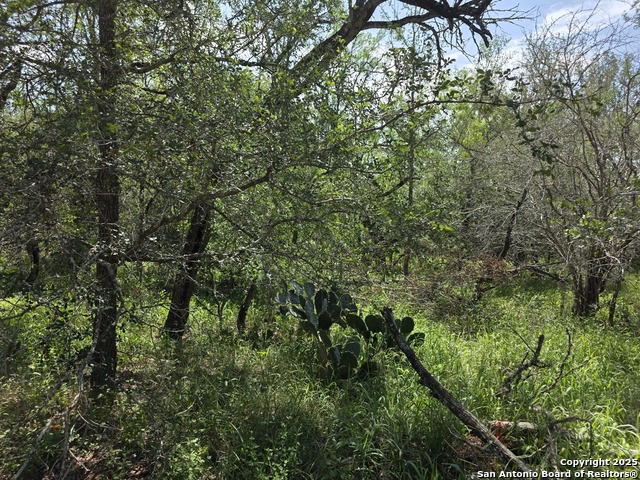 445 Marrou Rd. Property Photo 6