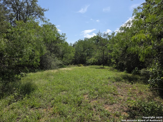 445 Marrou Rd. Property Photo 9