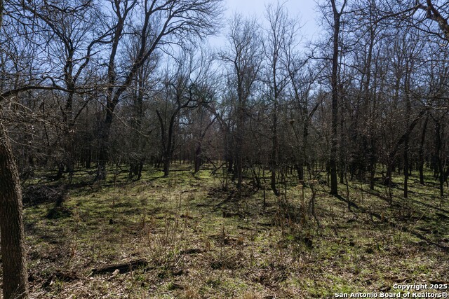 445 Marrou Rd. Property Photo 12