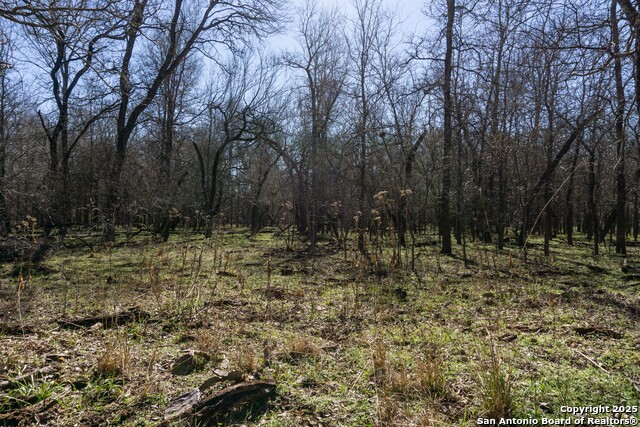 445 Marrou Rd. Property Photo 13