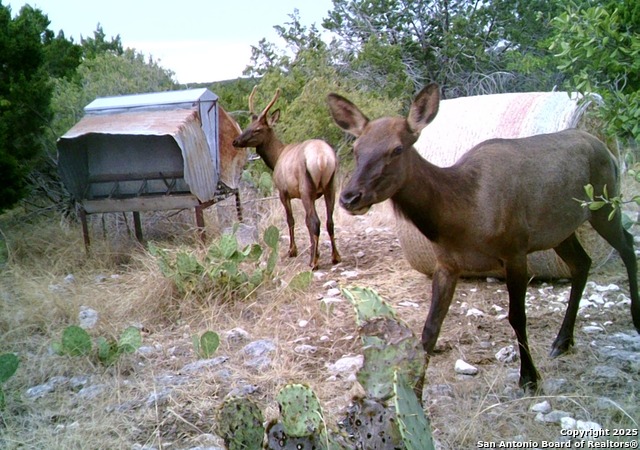 14910 Bullhead Rd Property Photo 40