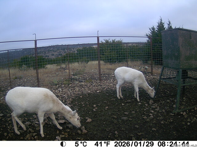 14910 Bullhead Rd Property Photo 43