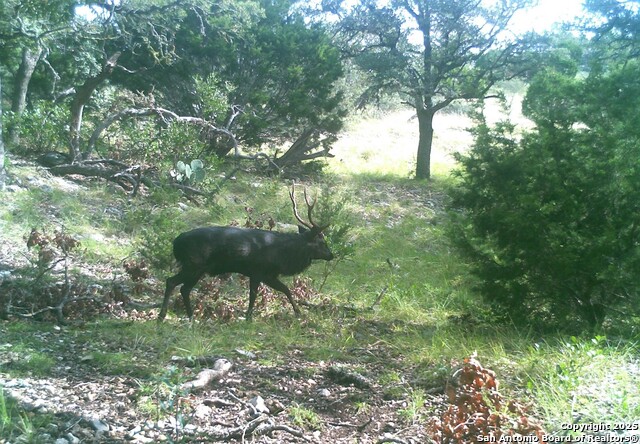 14910 Bullhead Rd Property Photo 46
