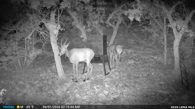 14910 Bullhead Rd Property Photo 53