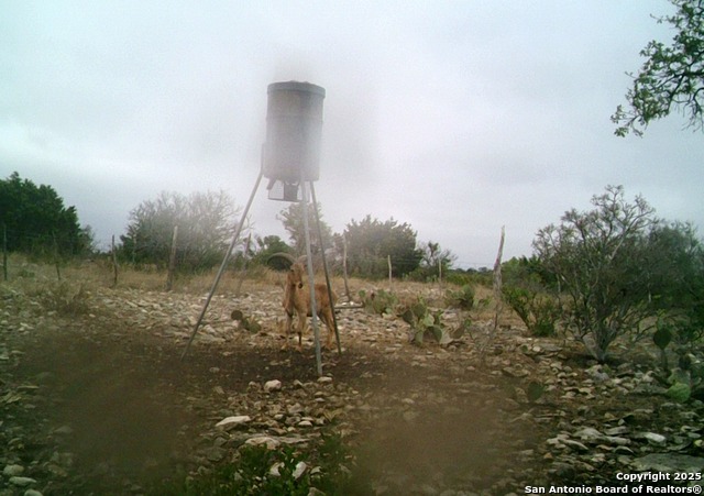 14910 Bullhead Rd Property Photo 56