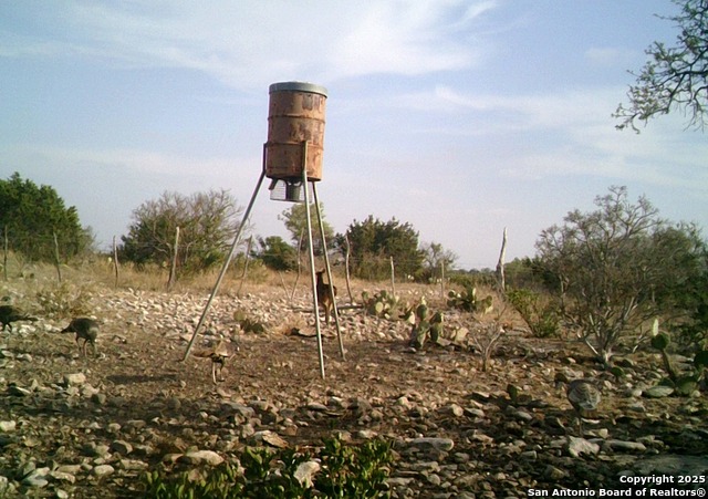 14910 Bullhead Rd Property Photo 57