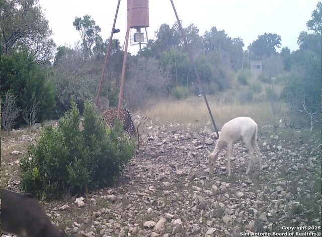 14910 Bullhead Rd Property Photo 58