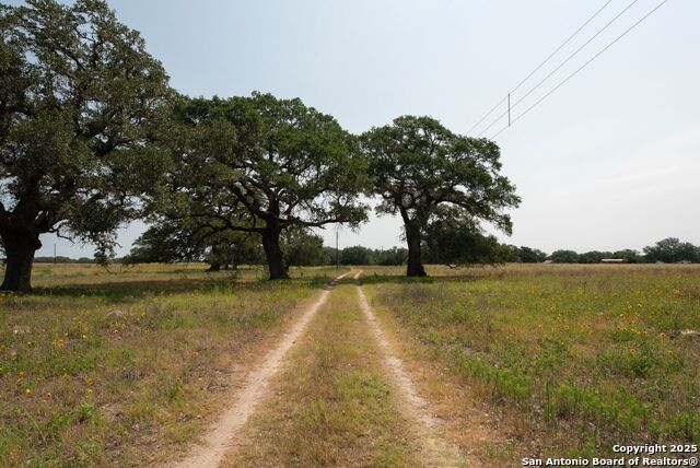 1003 County Rd 334 Property Photo 1